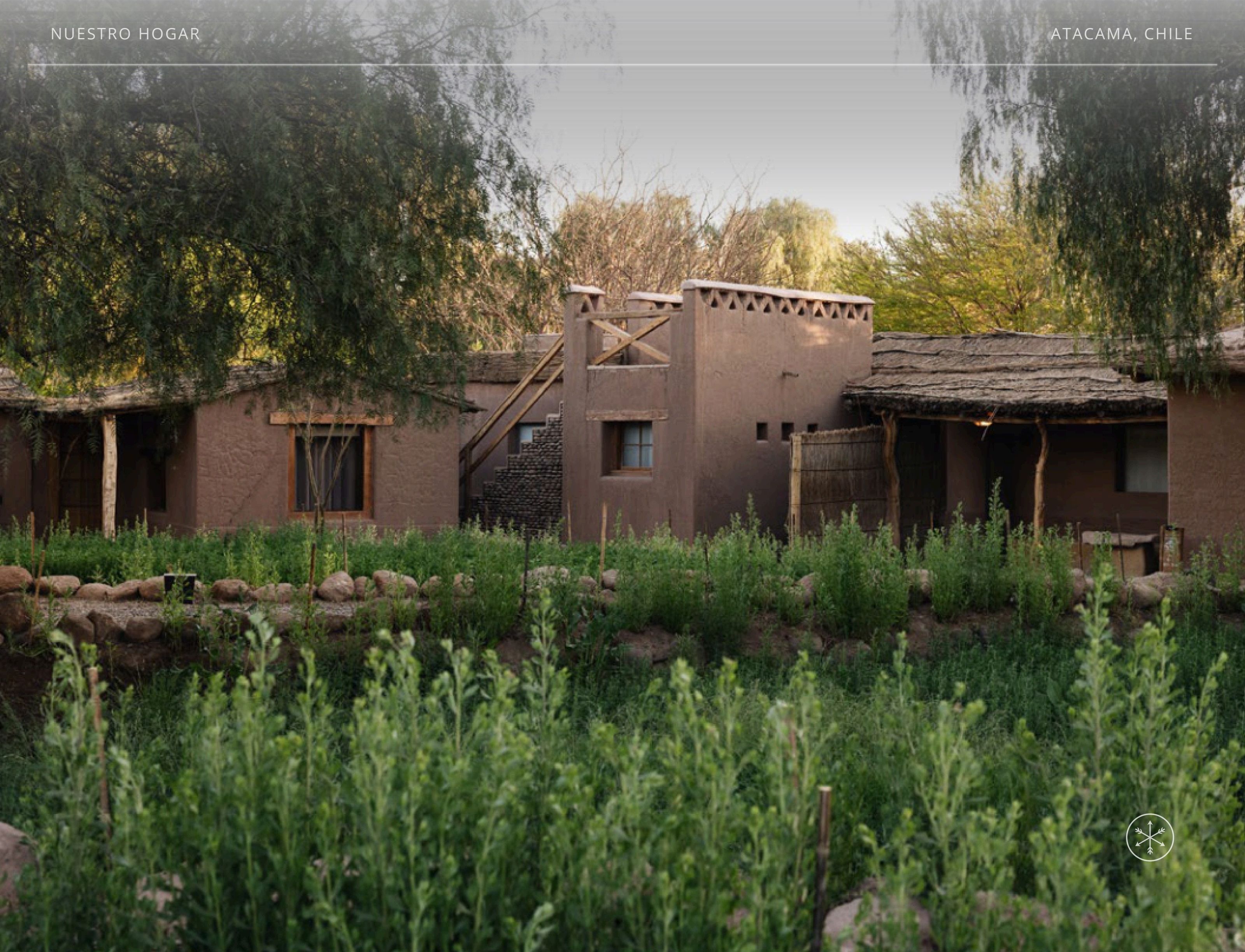 Arquitetura do hotel cercada por vegetação no deserto